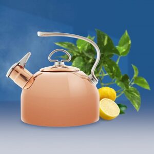 Read more about the article The top 5 chantal tea kettle for Your Perfect Brew